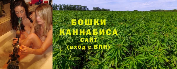 PSILOCYBIN Алексеевка