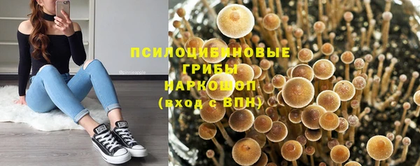 синтетический гашиш Алексин