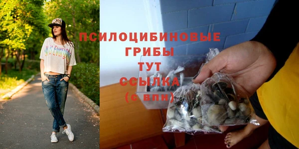 сатива Абаза