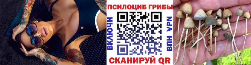 Псилоцибиновые грибы ЛСД сколько стоит omg маркетплейс Донской