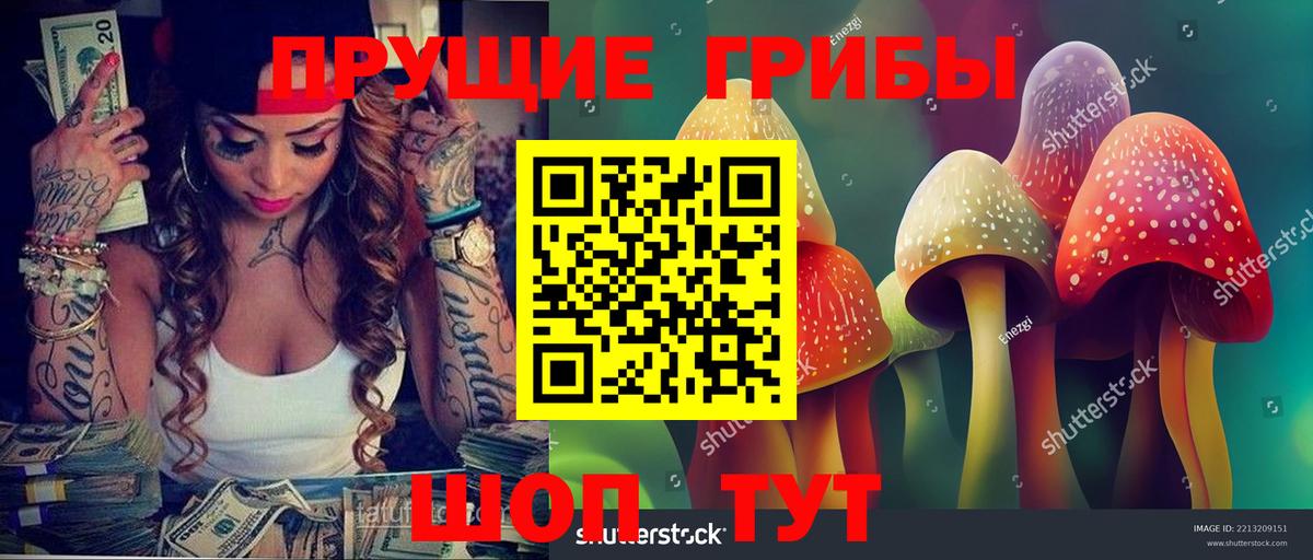 Донской  купить наркотики сайты  Вход с VPN  Псилоцибиновые грибы ЛСД 